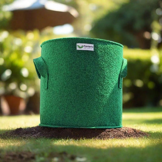 Geofabric Grow Bag for Planting