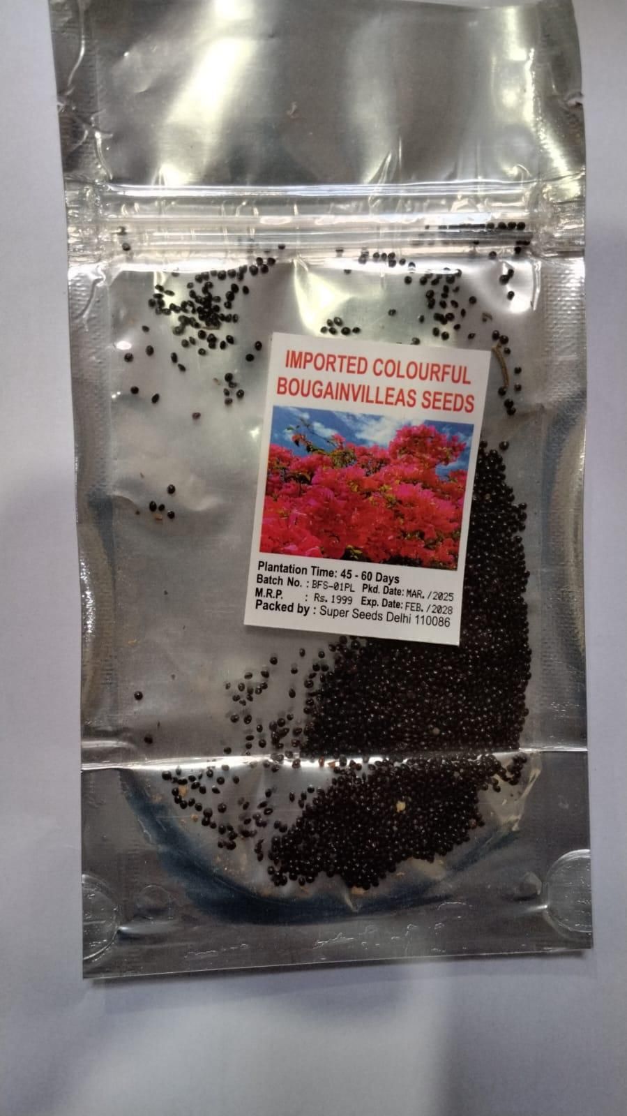 Mix Colour Bougainvillea Flower Seeds For Home Garden